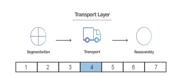 OSI Model Layer 4: Transport Layer