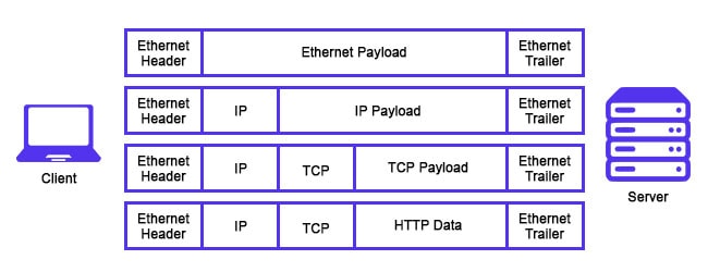 Internet Protocol