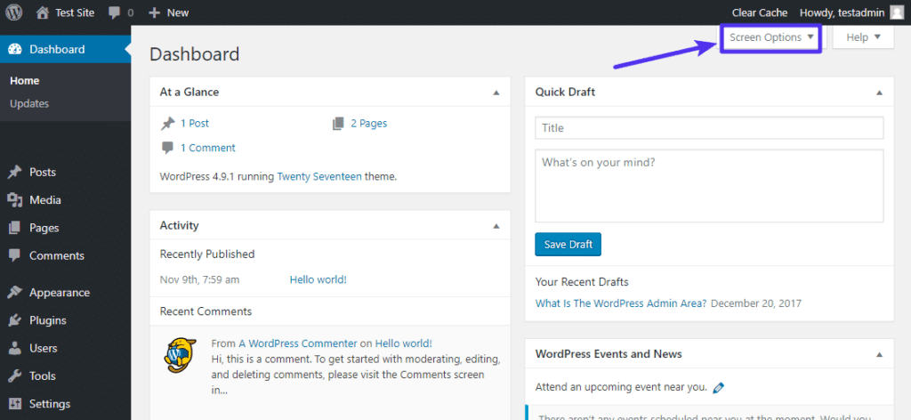 WordPress Screen Options
