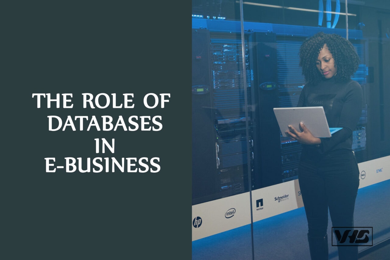 The Roles of Databases In eBusiness