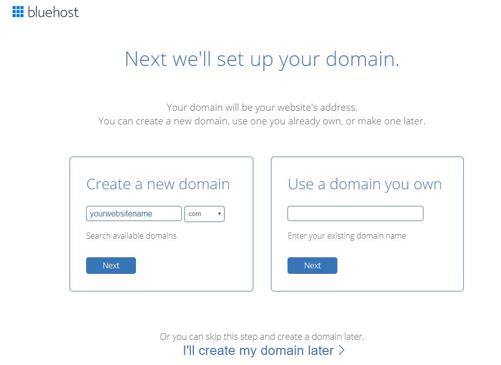 Bluehost Register domain name
