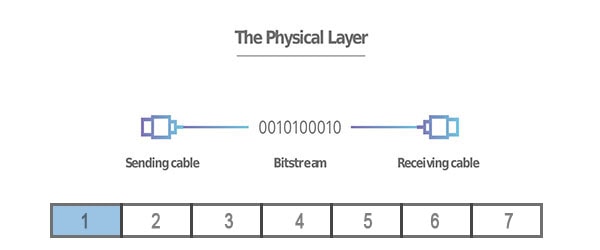 Layer 1: Physical Layer