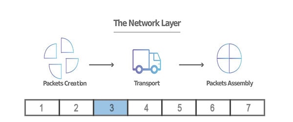 OSI Model Layer 3: Network Layer